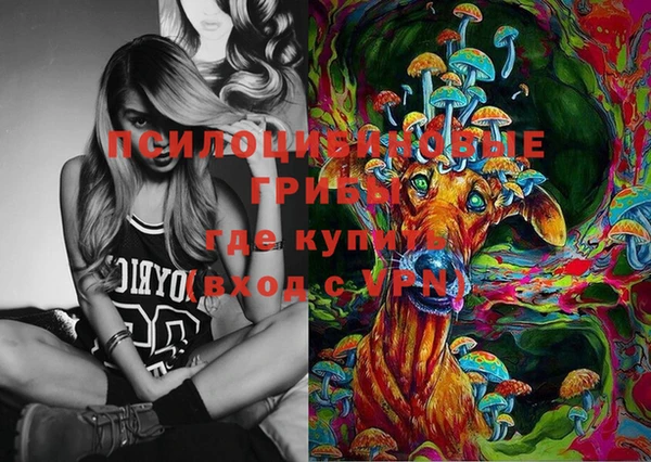 apvp Карталы