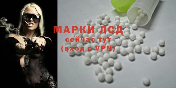 спайс Касимов