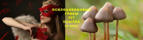 амфетамин Карпинск