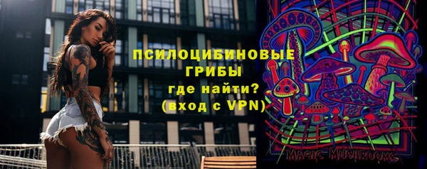 apvp Карталы
