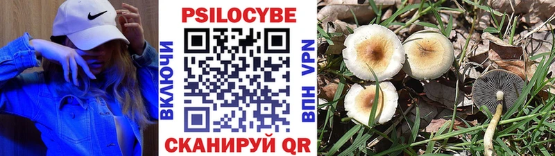 Галлюциногенные грибы мицелий Купить закладки Зеленогорск